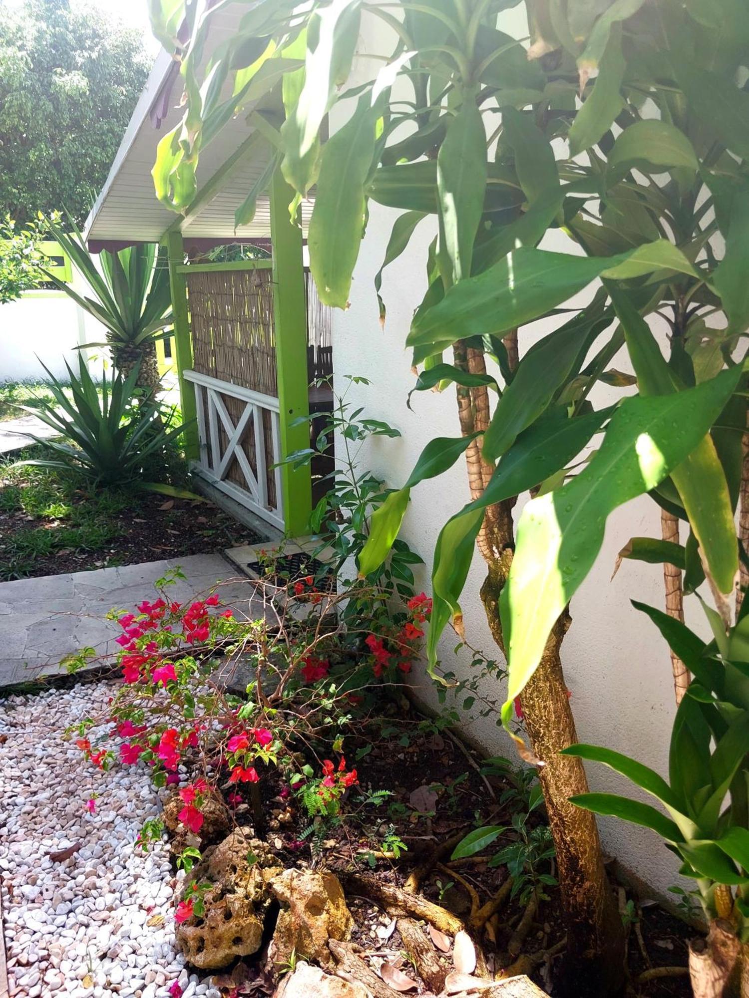 Logisrev Apartamento Sainte-Anne  Exterior foto